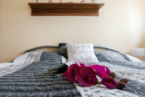 R�zsa V�lgy Apartman