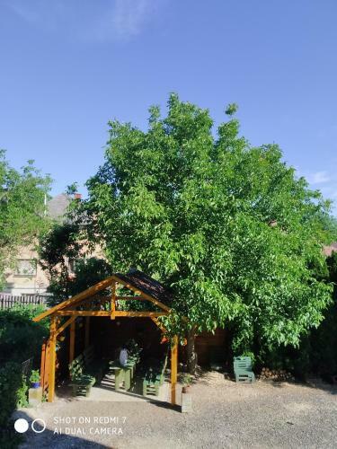 V�lgyf�rd? Apartman