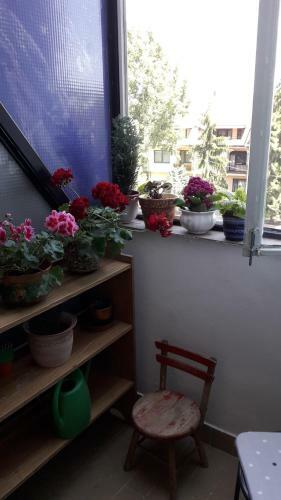 Annika Apartman