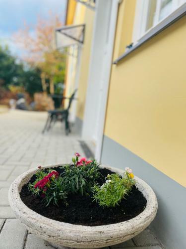 Bed & Breakfast Villabaroque_eger