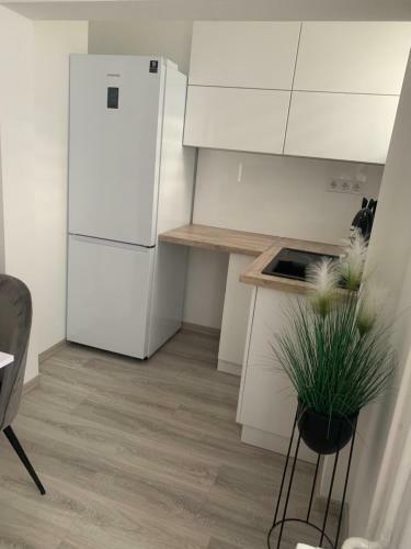 D&v Apartman