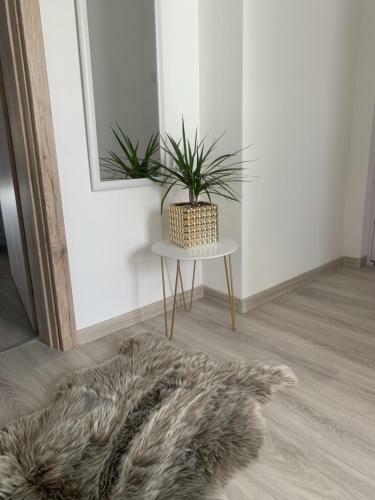 D&v Apartman