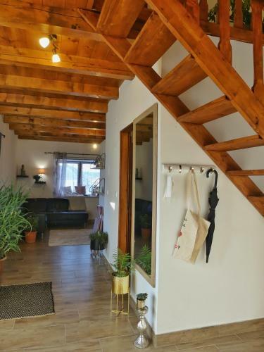 Apartamento Cs�cs�k Vend�gh�z