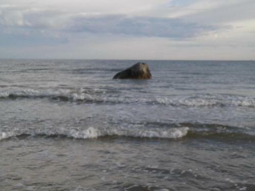 Villa Beach-house Seaborg