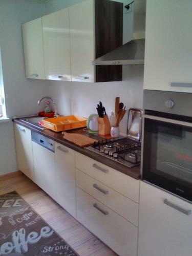 Apartment Janja