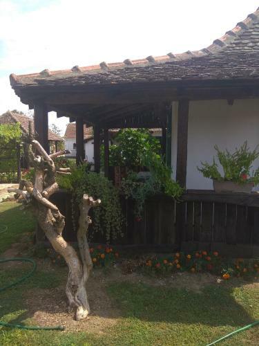 Agroturismo Etno Park Avlija Glu?ci