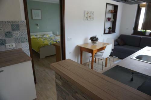 Apartma Irena Vol?e