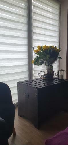 Apartamenty Bartnicza A
