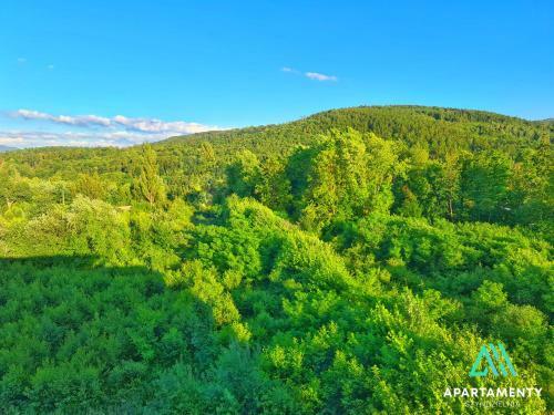 Apartamenty Szyndzielnia
