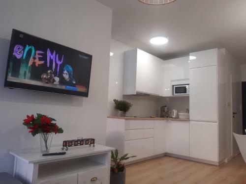 Apartamenty Pod D?bowcem Apartament 44 Rowerek