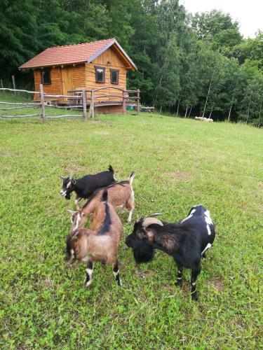 Agroturismo Grebengradska Medna Hi?a