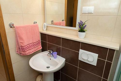 Apartmani Vice