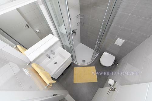 Apartmani Vice