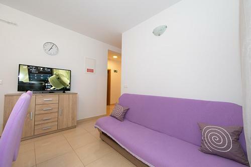 Apartmani Vice