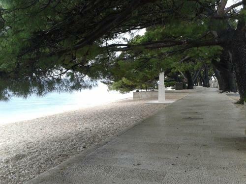 Apartamento Studio Ground Floor With Terace