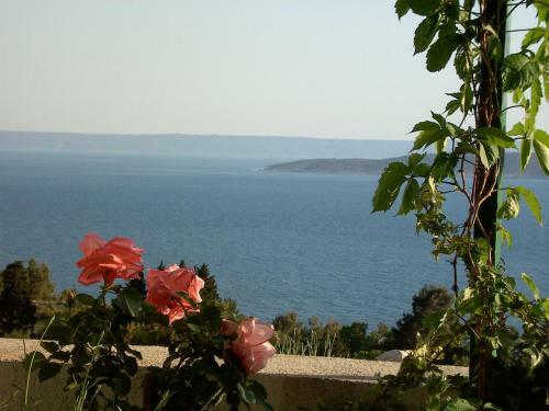 Apartamento Top Ferienhaus Brela