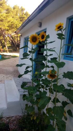 Cottage Apartment Brela