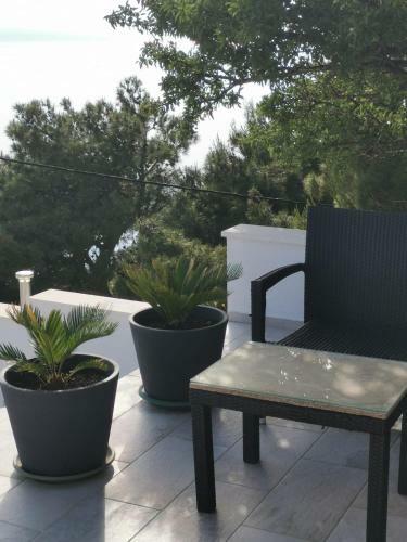 Apartman Ante