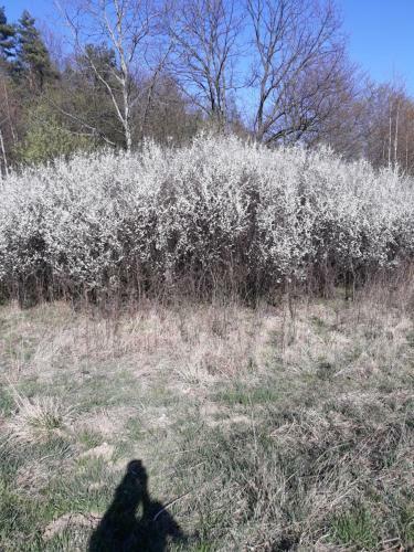 Agroturystyka Na Lipce Jagna I Stanis?aw Warcha?