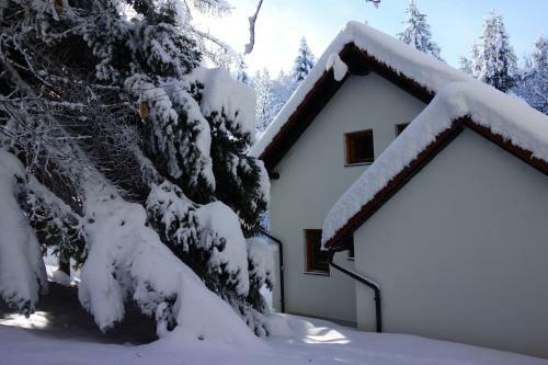 Sweet Stay Forest House