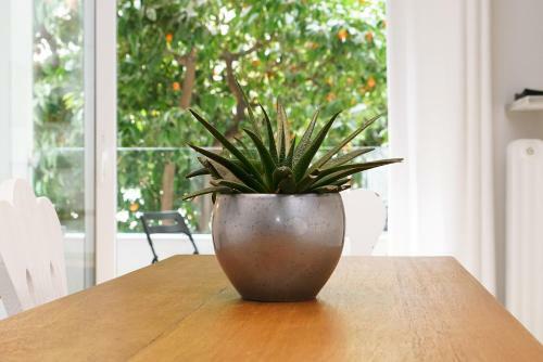 Athenian Modern Apartment