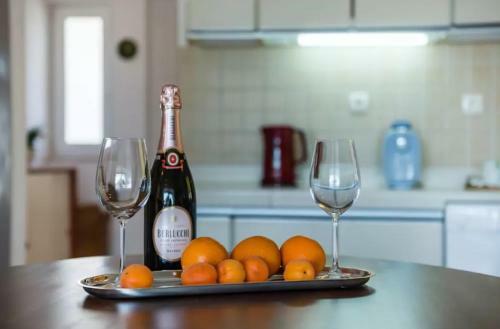 Apartments Anka