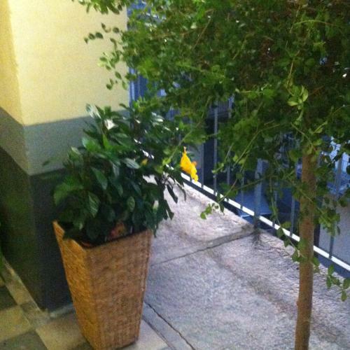 Apartamento Appartamento In Centro Storico