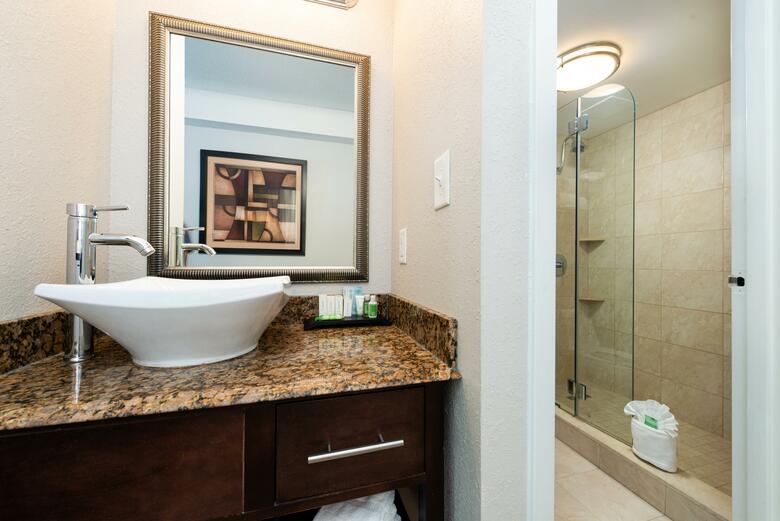 Hotel Holiday Inn Charlotte Center City