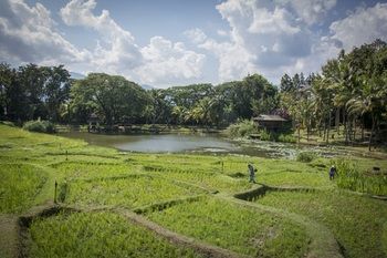 Hotel Four Seasons Resort Chiang Mai