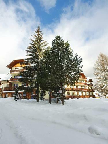 Apartm�n 27, Kamz�k