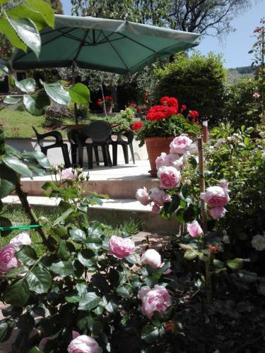 Apartamento Eden House