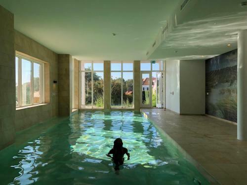 Apartamento Penthouse In Badhuis Cadzand