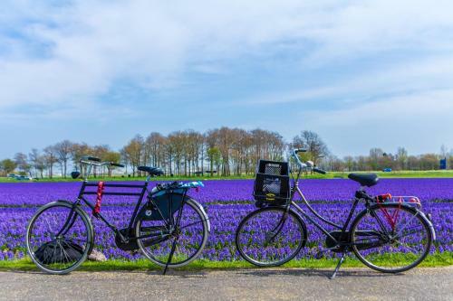 Bed & Breakfast Slapen Bij de Buurvrouw