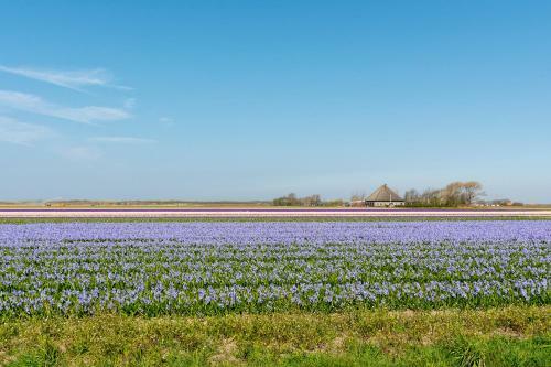 Buitenplaats Villa 97 - Callantsoog