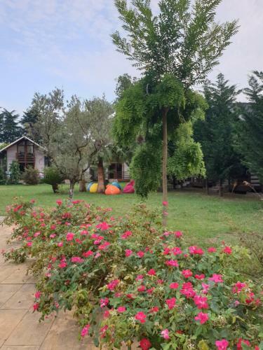 Holiday Park Happy Land