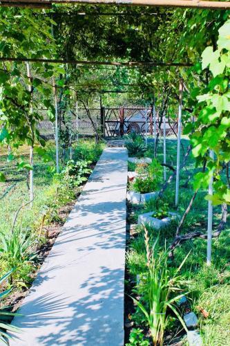 Vacation Home On Molodezhnaya