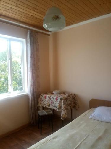 Hostal Zeleniy Dvorik Guest House