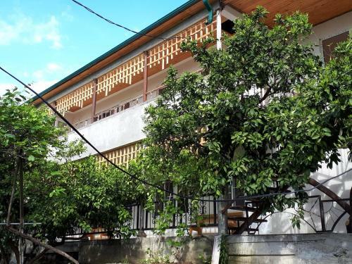 Posada Inzhir Guest House