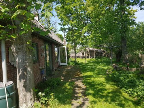 Bed & Breakfast Huisje Vogelenzang
