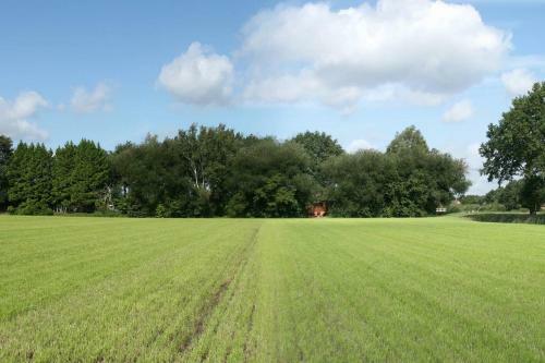 Vegawagen Psyche, Een Sprookje In Coevorden