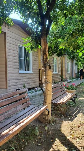 Hostal Breeze