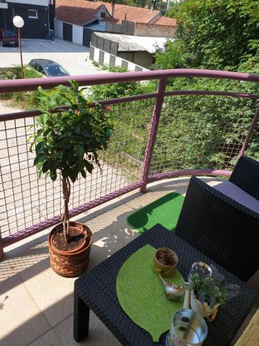 Lux Apartman ?a?ak
