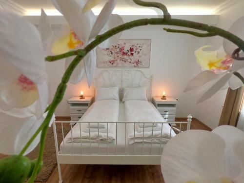 Apartamentos Spring Rustik