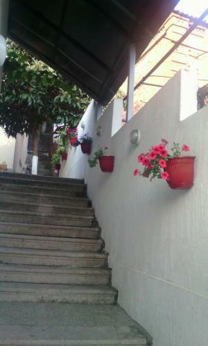 Hostal ???? ???????