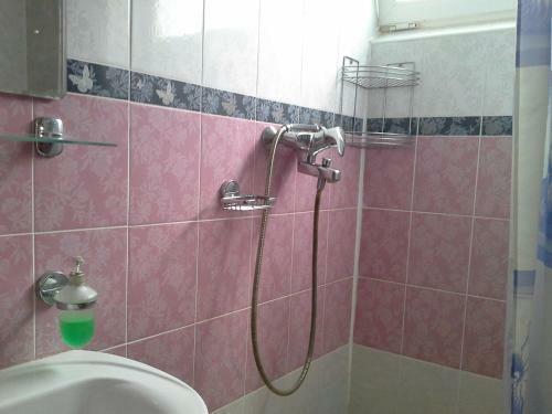 Hostal Guest House Villa Roza