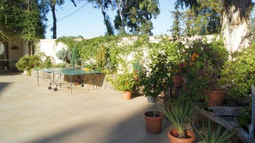 Hostal Guest House Skazka