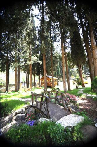 Hotel Lazurniy Bereg