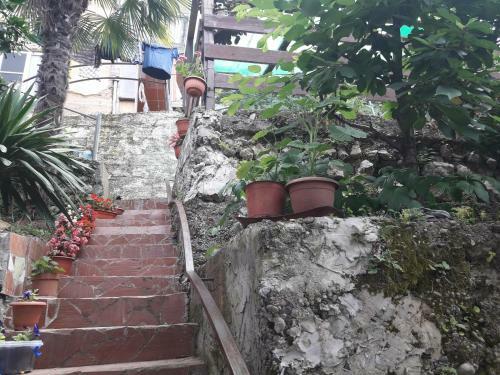 Hostal Guest House Teremok