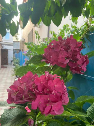 Hostal Nadezhda Guest House