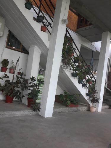 Apartamento ???????? ??? ??????